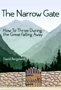 The Narrow Gate Cover