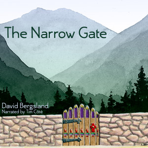 The Narrow Gate audio book
