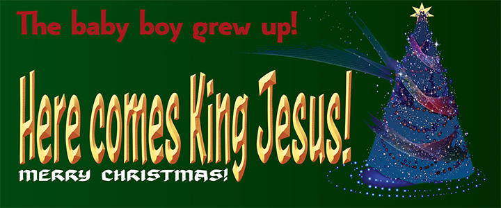 My new Christmas banner after I decided that the one I used last year was too subdued